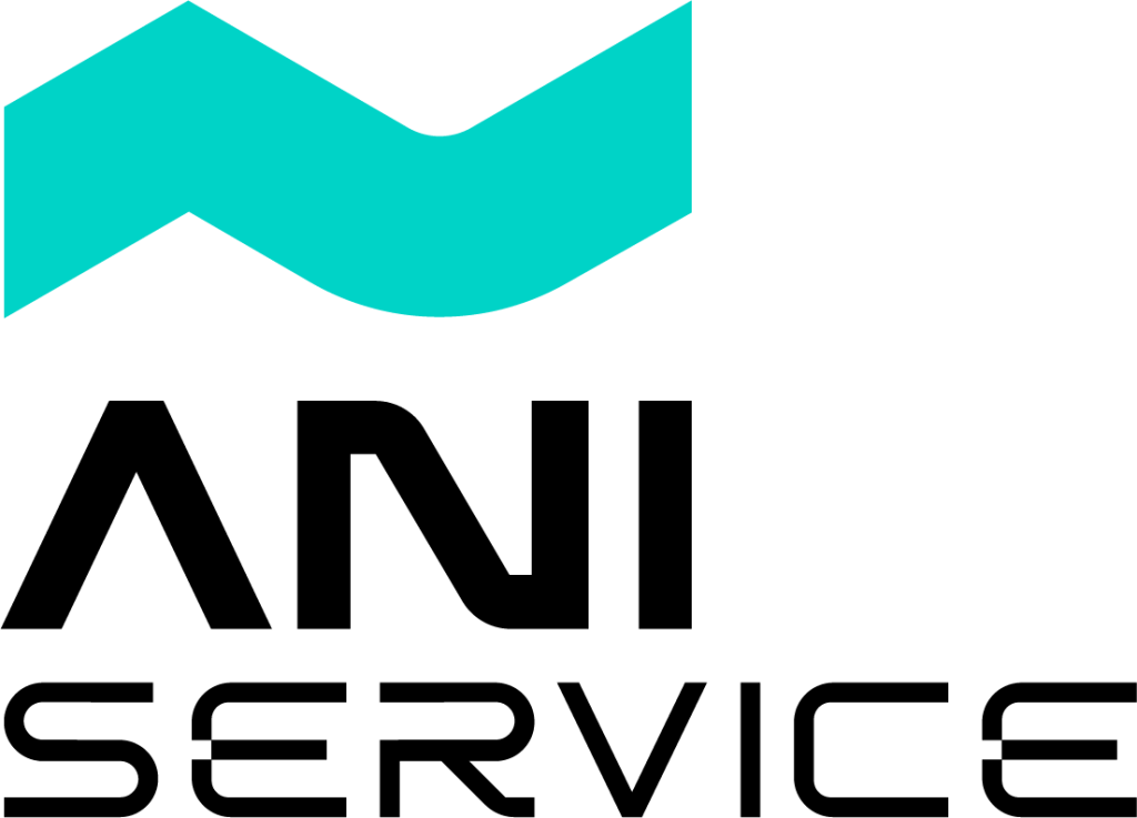 Ani service original black logo 1024x737
