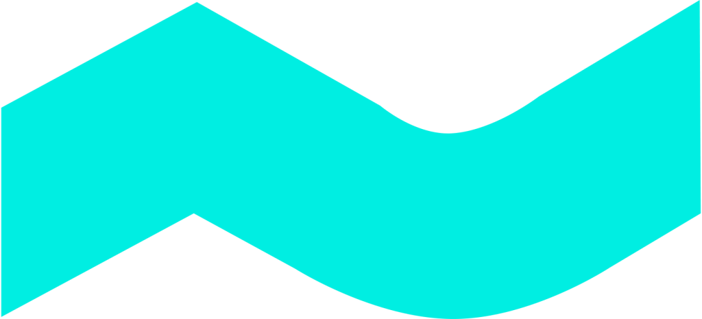 Icon2 1024x465